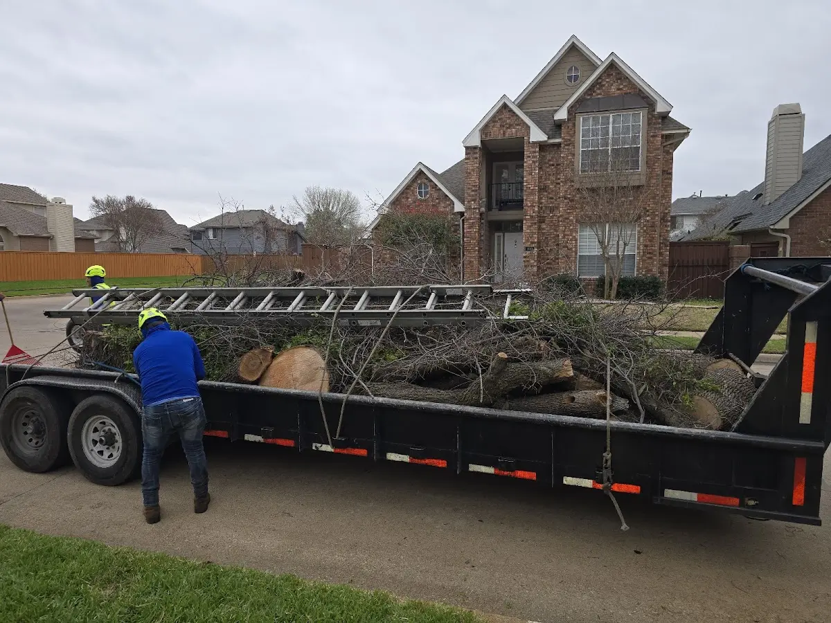 Expert Lot Clearing with proper safety equipment in Davilla